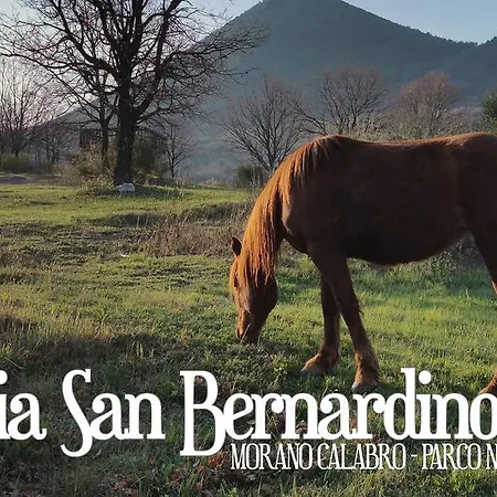 Farm stay Fattoria San Bernardino