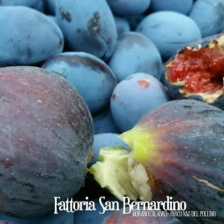 Farm stay Fattoria San Bernardino *
